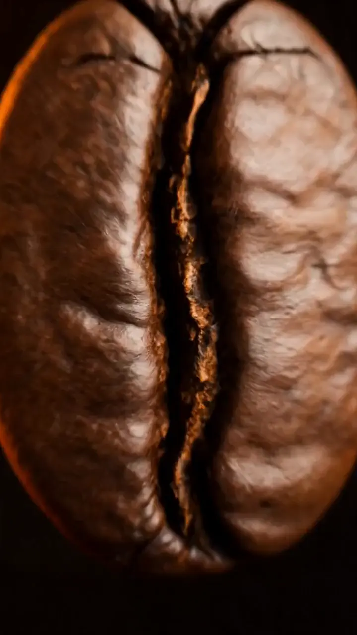 A single coffee bean in extreme close-up.